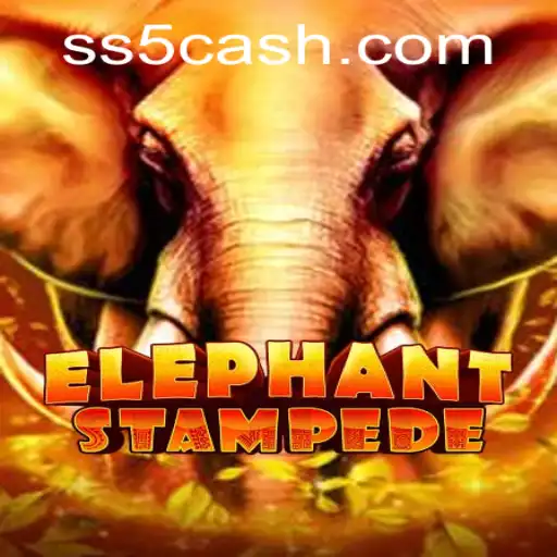 Explorando ElephantStampede: O Empolgante Mundo de SS5.COM